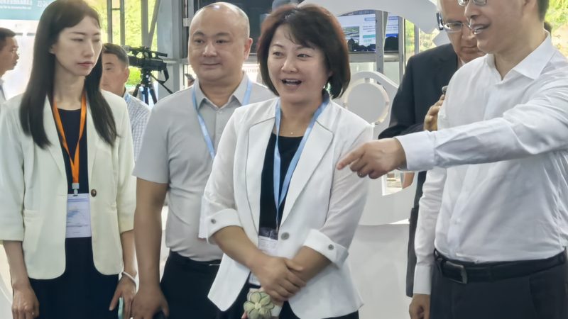 网购发动机配件，如何挑选靠谱平台**